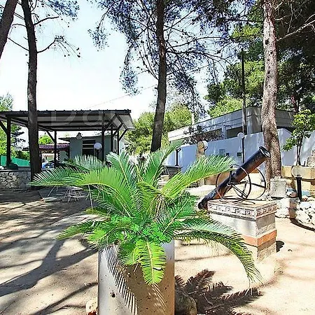 Paradiso *